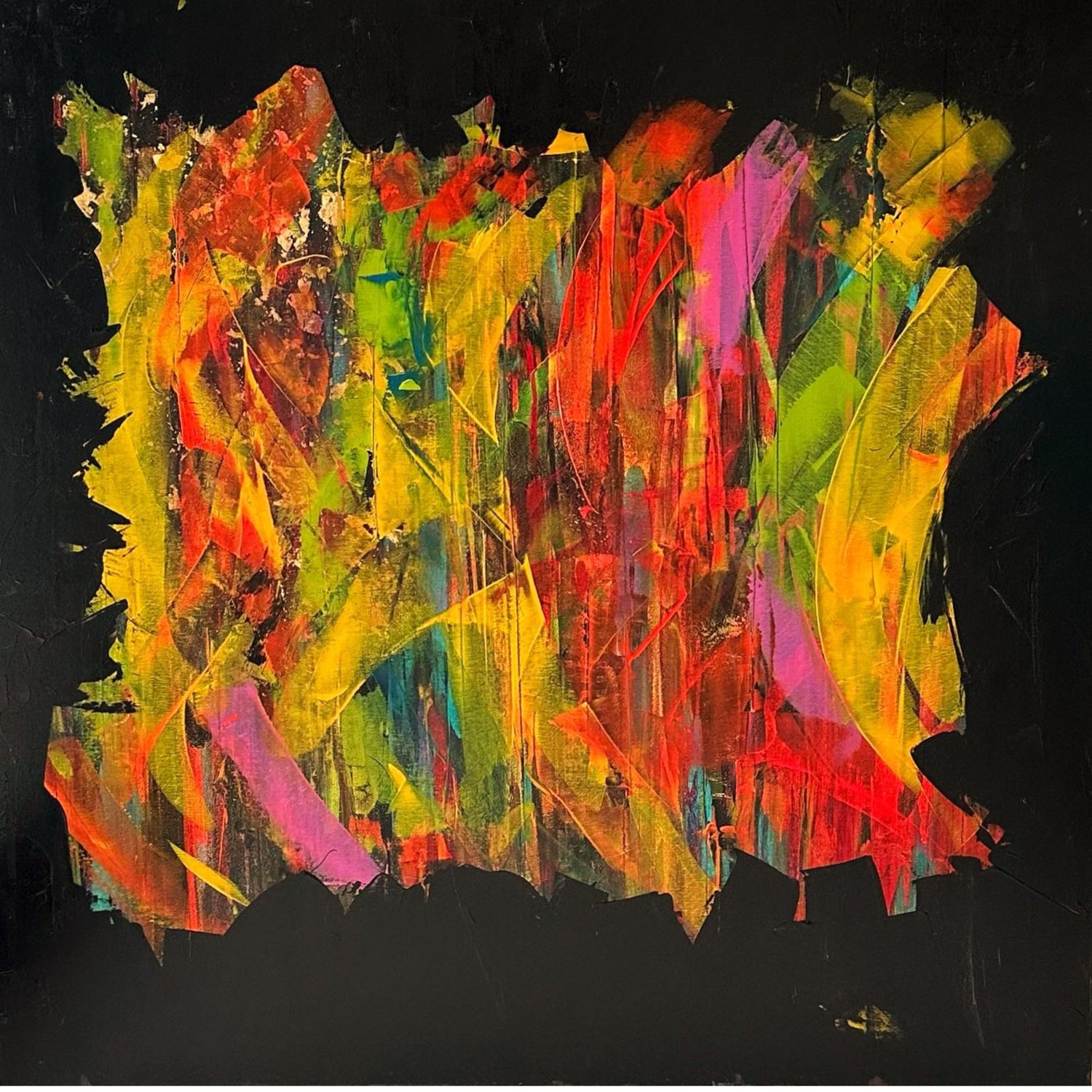 Colors in Freedom Collection