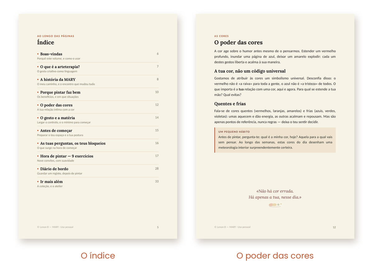 Pintar – o poder das cores · MARY Volume 1 · Livro impresso